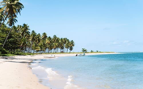 Bahamas & Perfect Day Cruise