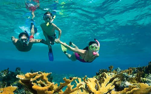 Bahamas & Perfect Day Cruise