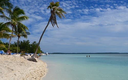 Bahamas & Perfect Day Cruise